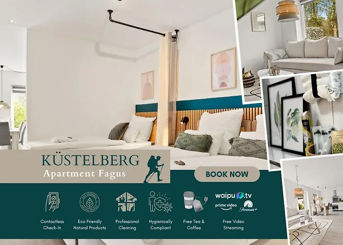 Greenhouse Living Apartment Fagus Mit Terrasse Und Feuerstelle - 6 Minuten Nach Winterberg - 4 Minuten Zur Ruhrquelle - Wandern - Mountainbike Fahren - Reisen Mit Hund & Natur Geniessen