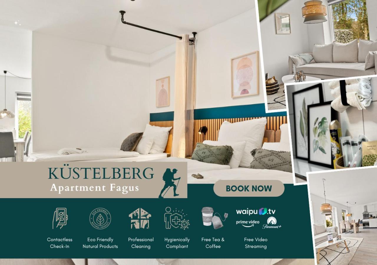 Apartment Greenhouse Living Fagus Mit Terrasse Und Feuerstelle - 6 Minuten Nach Winterberg - 4 Minuten Zur Ruhrquelle - Wandern - Mountainbike Fahren - Reisen Mit Hund & Geniessen Medebach