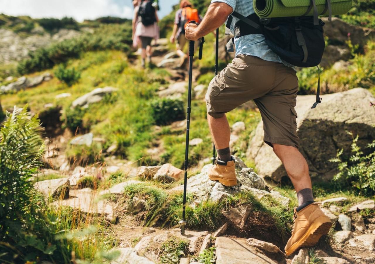 Greenhouse Living Fagus Mit Terrasse Und Feuerstelle - 6 Minuten Nach Winterberg - 4 Minuten Zur Ruhrquelle - Wandern - Mountainbike Fahren - Reisen Mit Hund & Geniessen Medebach